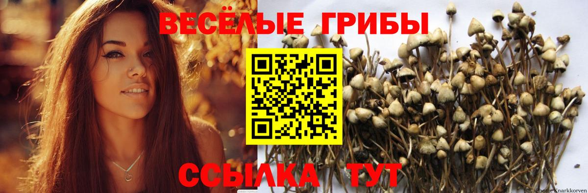 Галлюциногенные грибы мицелий  Псилоцибиновые грибы MAGIC MUSHROOMS  Магадан  Вход с VPN 